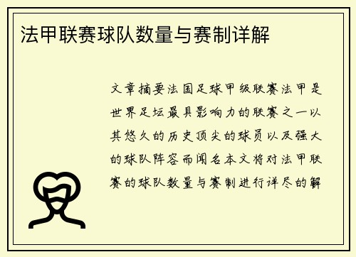法甲联赛球队数量与赛制详解